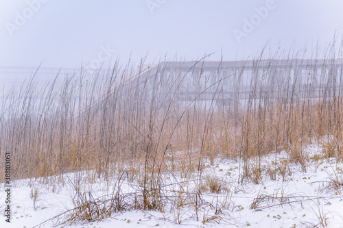 bride in the dunes