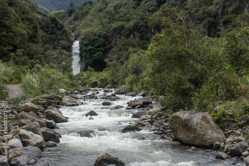 río selvático con cascada en montañas