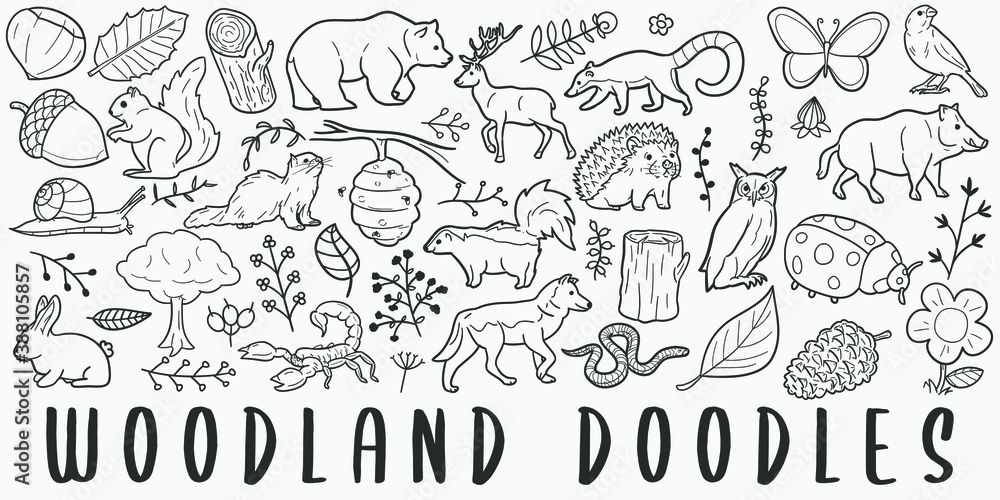 Fototapeta Woodland Animals doodle icon set. Fauna Vector illustration collection. Banner Hand drawn Line art style.
