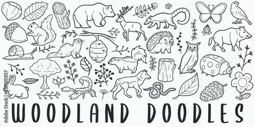 Woodland Animals doodle icon set. Fauna Vector illustration collection. Banner Hand drawn Line art style.