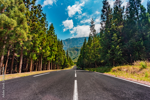 Mountain road in the heart of Reunion Island in Cilaos photo
