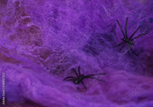 A black spider crawls on a purple web and an orange pumpkin on a lilac background. Halloween. Card. © Елена Бабушкина