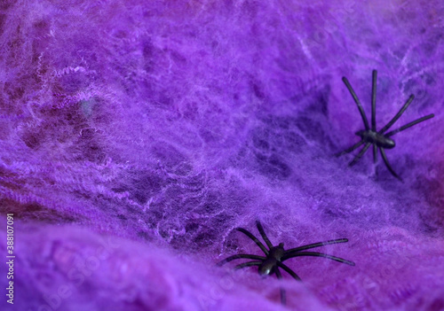 A black spider crawls on a purple web and an orange pumpkin on a lilac background. Halloween. Card. © Елена Бабушкина