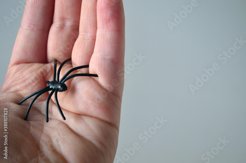 Black spiders on a female hand. Horror, fear, Halloween.