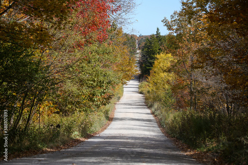 dirt road through autumn landscape