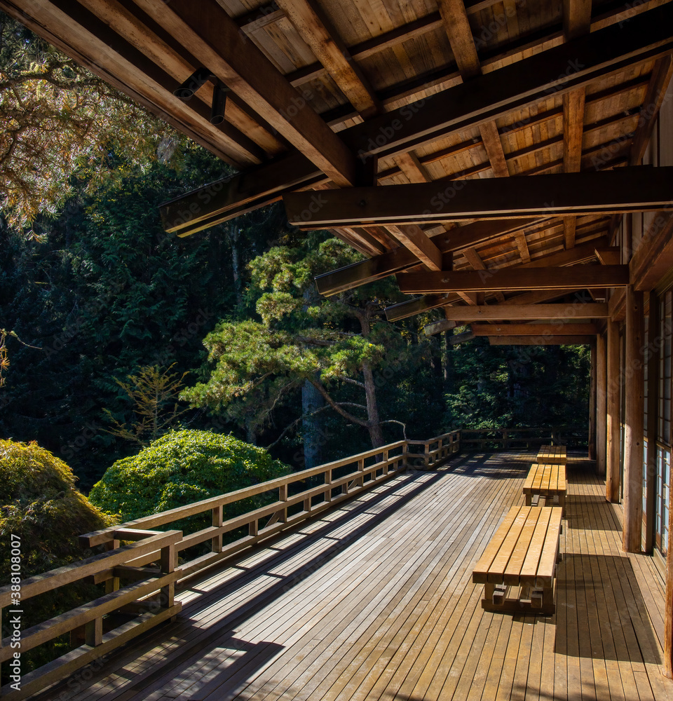 Empty benches on covered outdoor deck overlooking forest. Empty benches on covered outdoor deck overlooking forest.