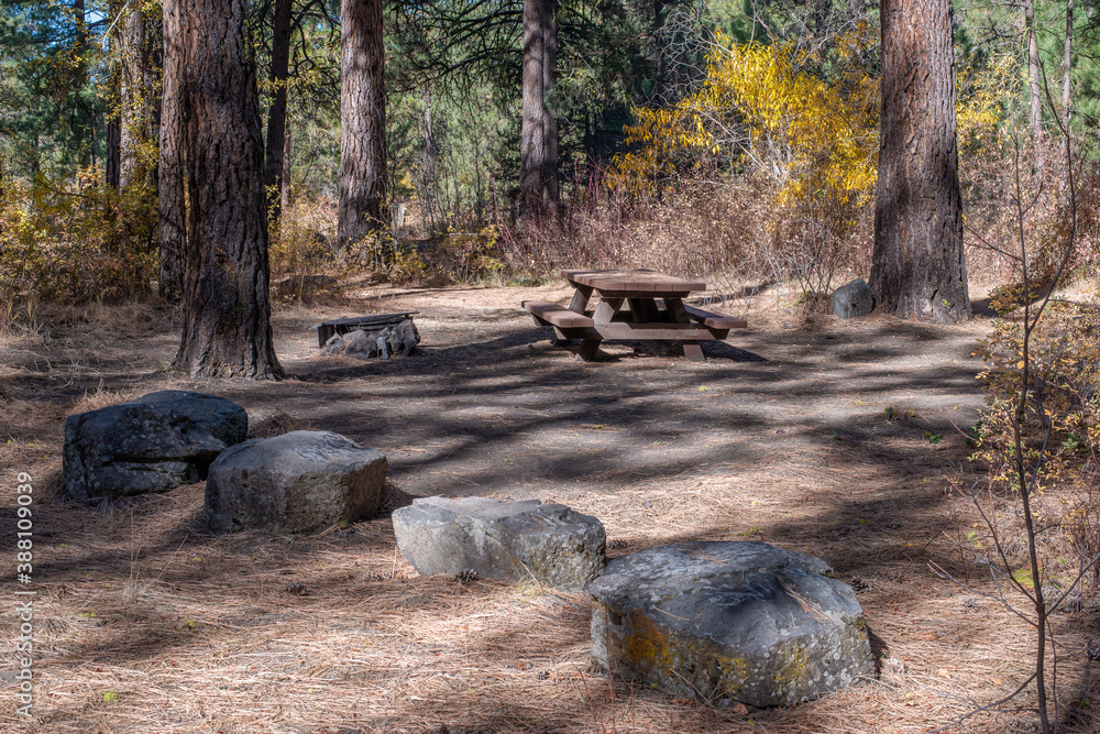 Obraz premium Drews Creek Campground Campsite in Fremont-Winema National Forest outside Lakeview, Oregon offers peace and quiet under a majestic ponderosa pine canopy