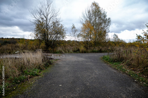 T-shaped road intersection in the fields  against the background of Russian birch trees