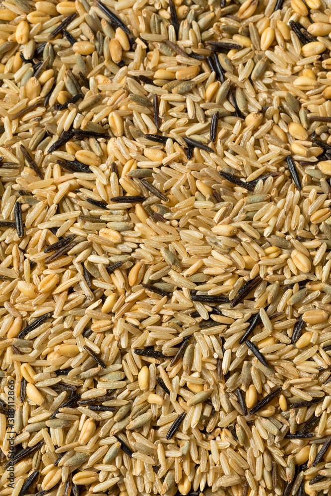 Raw Dry Organic Wild Rice Raw Dry Organic Wild Rice