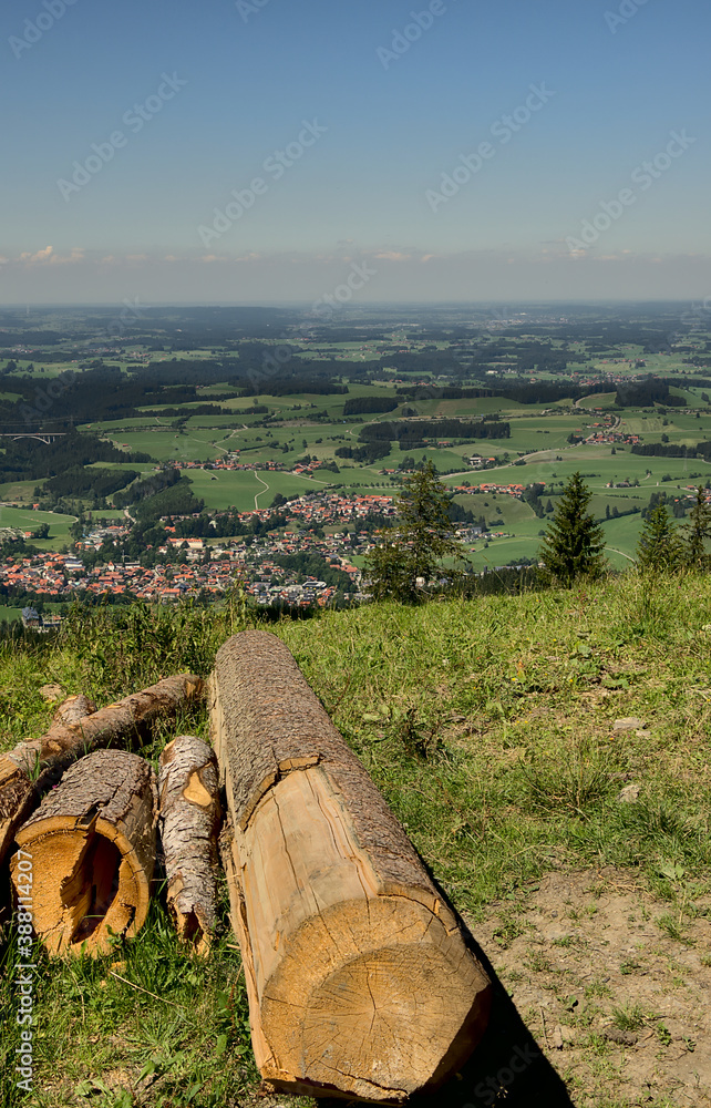 Baumtruck mit Blick auf Tal und Horizont Baumtruck mit Blick auf Tal und Horizont