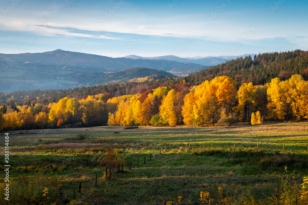 colorful autumn valley, perfect evening light, yellow leaves, bohemian forest, czech republic