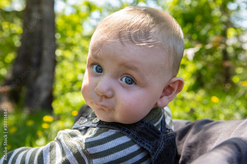 Portrait of little infant baby boy sitting with father relaxing and enjoying nature watching in park with fresh green trees and grass Portrait of little infant baby boy sitting with father relaxing and enjoying nature watching in park with fresh green trees and grass