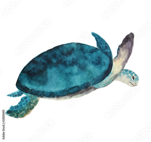 Beautiful watercolor turtle on a white background. Illustration for your print, postcards, website, mugs or bags. Painting for your own design