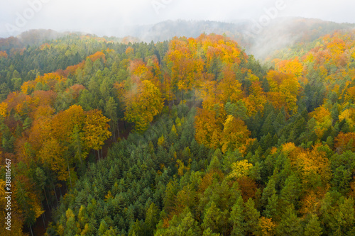 Aerial view on the colorful autumn or fall fir or foliage forest covered by clouds