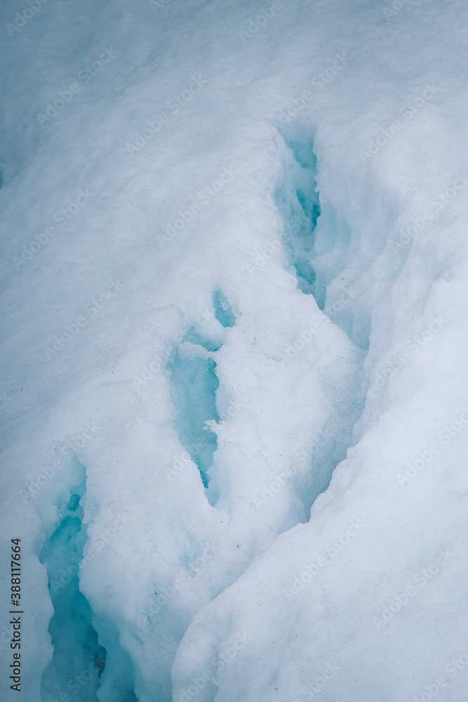 Fototapeta tysiącletni lodowiec w Andach