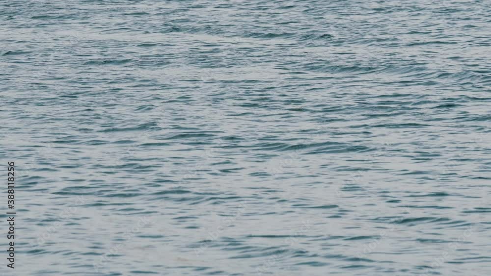 Wave water surface rippled by wind in swimming pool. Small wave water in swimming pool can be used for background wave water texture. Wave water surface rippled by wind in swimming pool. Small wave water in swimming pool can be used for background wave water texture.