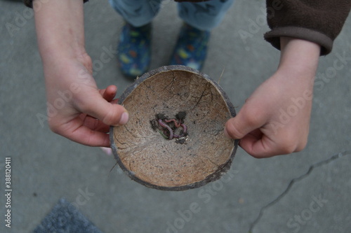 A child holding worms in the coconut shell