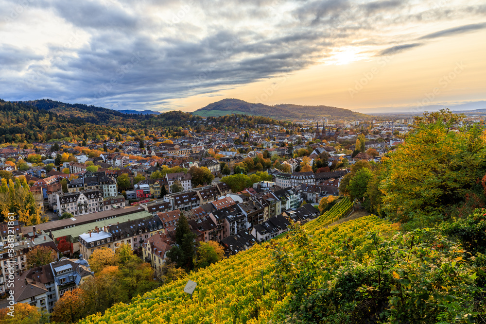 Golden Summer in Freiburg - Blick vom Freiburger Schlossberg auf die Stadt Freiburg