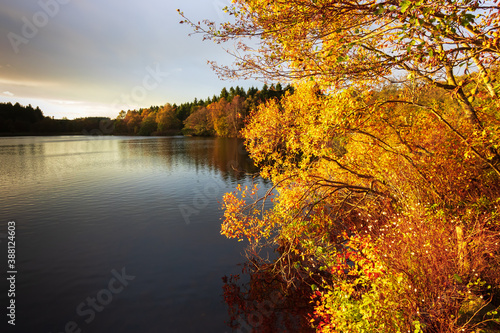 Colourful Autum foliage on a lake