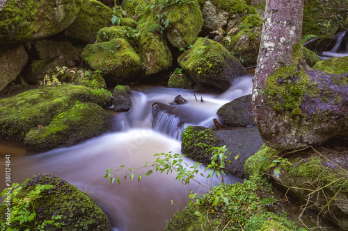 Lohnbachfall im Waldviertel bei Rapottenstein photo