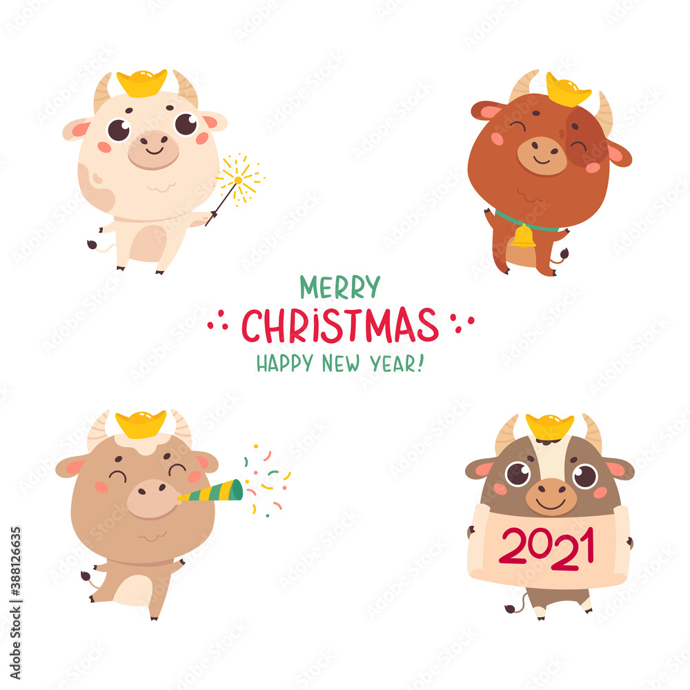 Obraz premium Set of cute silver cartoon bulls and cows.New year ox with various festive attributes.Chinese new year 2021 symbol.Set of holiday animals for the design of calendars,cards,advertising.Vector 