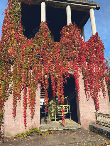 Casa llena de vegetación en la fachada del edificio