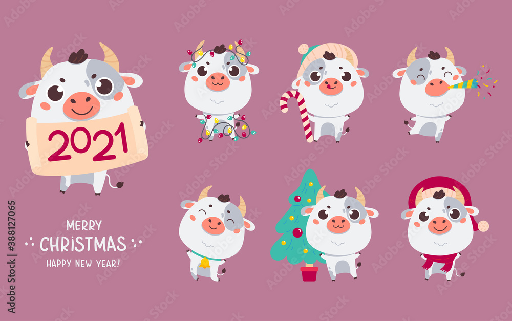 Set of cute cartoon ox and cows.New year cattle with various festive attributes.Chinese new year 2021 symbol.Set of holiday animals for the design of calendars,cards,advertising.Vector illustration