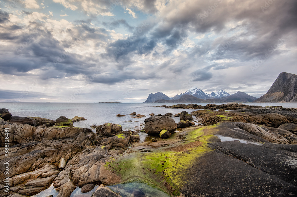 Obraz premium Bright throughout the night. Summer in Lofoten has azure-blue beaches, green mountainsides and a sun that never sets. It's landscape ideal for outdoor fun. It's wild and beautiful.