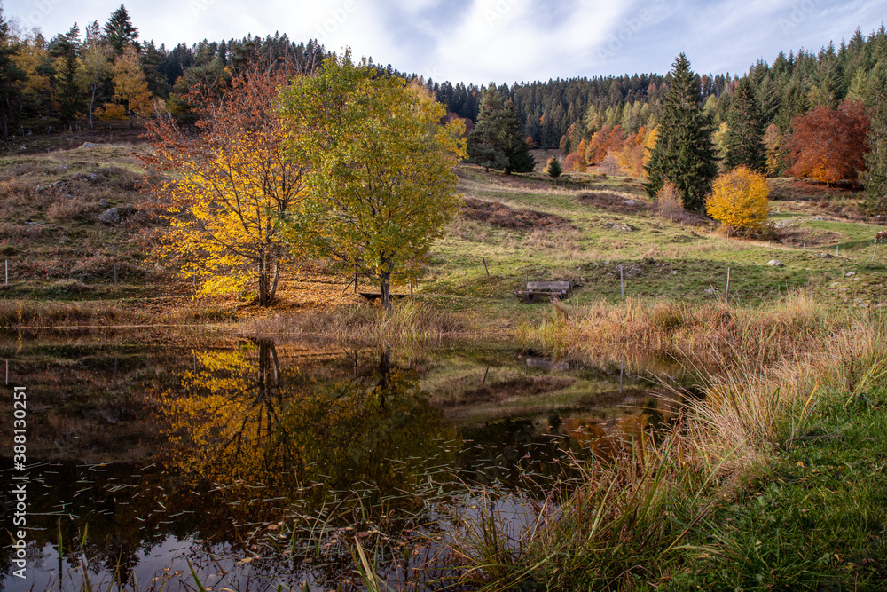 Unterwegs im Hochschwarzwald.
Herbststimmung am Letzbergweiher oberhalb von Schönau im Schwarzwald.