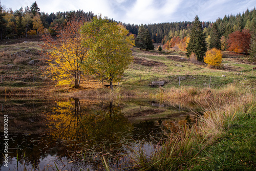 Unterwegs im Hochschwarzwald. Herbststimmung am Letzbergweiher oberhalb von Schönau im Schwarzwald.