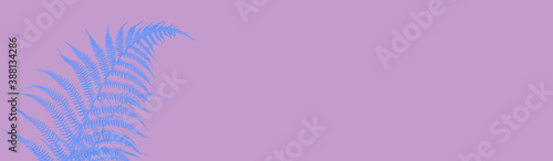 Silhouettes leaves ferns blue colored on a lilac background. Banner. Illustration in trendy pastel colors, minimalism.