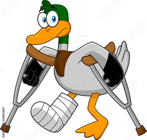 Sad Duck Cartoon Character With Crutches And Plastered Leg. Vector Illustration Isolated On White Background photo