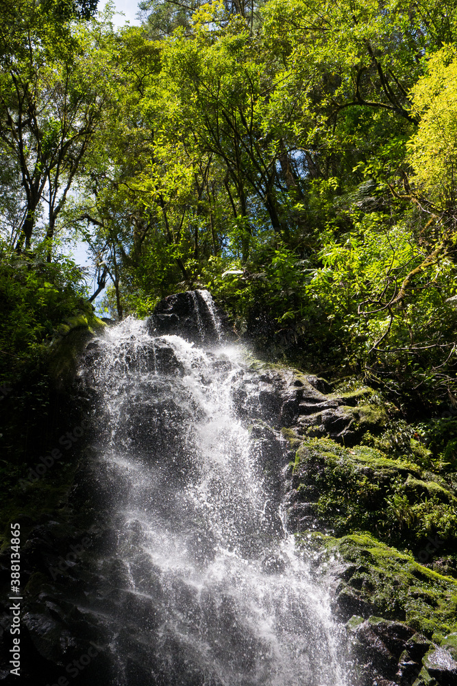 Waterfall with green trees around