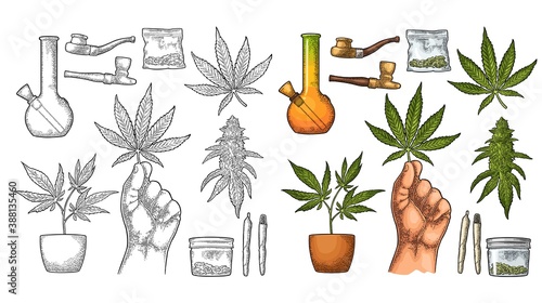 Set Marijuana. Cigarettes, pipe, lighter, buds cannabis. Vintage engraving