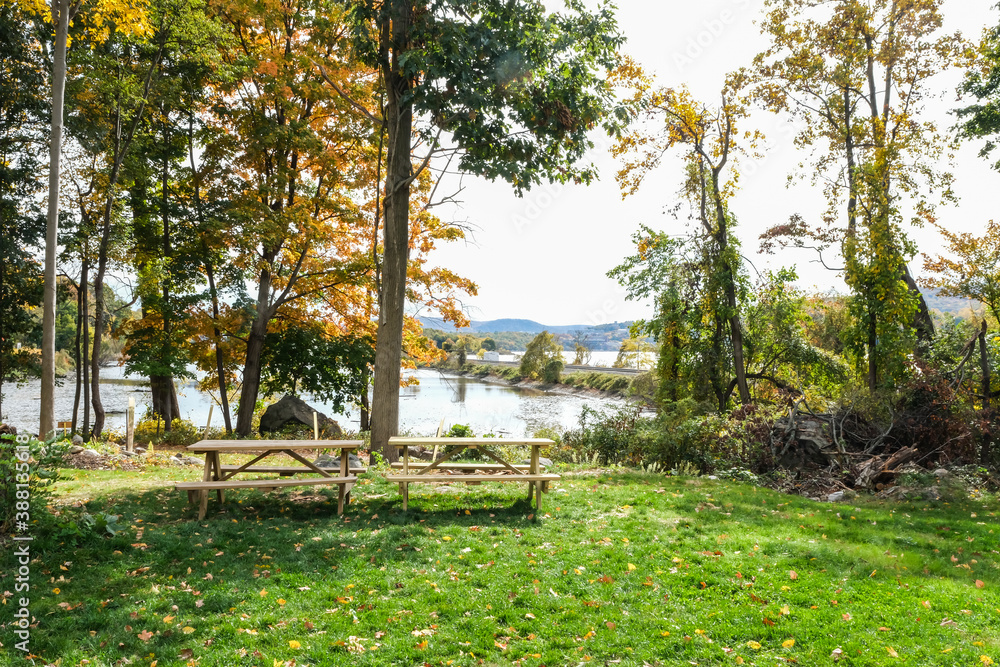 Obraz premium Picnic table in the forest