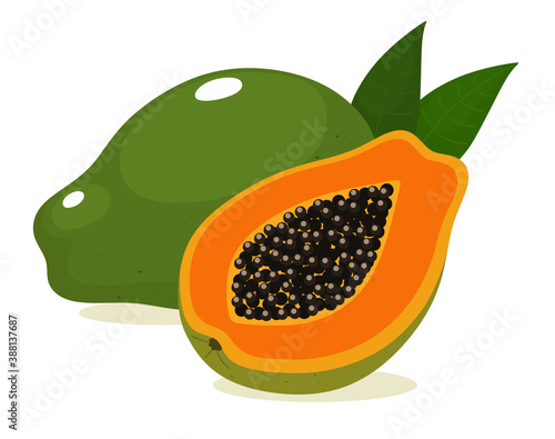 Cutaway papaya fruit. Vector illustration .Cutaway papaya fruit. Vector illustration .