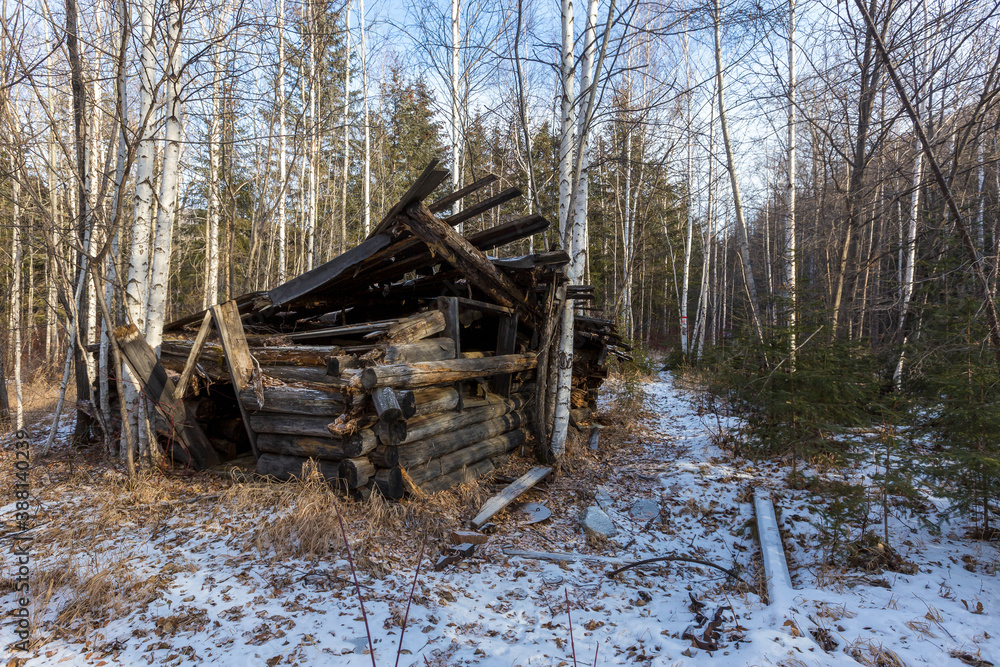 A ruined hut stands among the Russian taiga in the winter season A ruined hut stands among the Russian taiga in the winter season