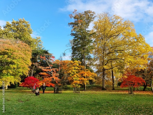 Westonbirt, The National Arboretum in October
 photo