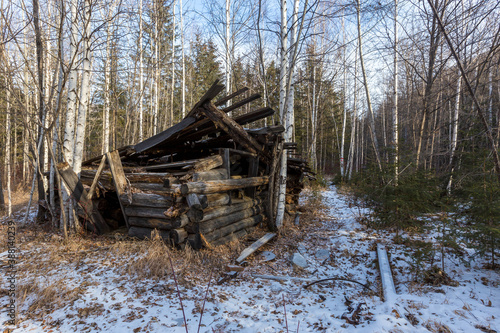 A ruined hut stands among the Russian taiga in the winter season