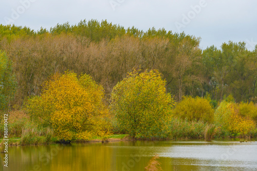Wallpaper Mural The edge of a lake in autumn colors under a cloudy sky at fall, Almere, Flevoland, The Netherlands, October 26, 2020 Torontodigital.ca