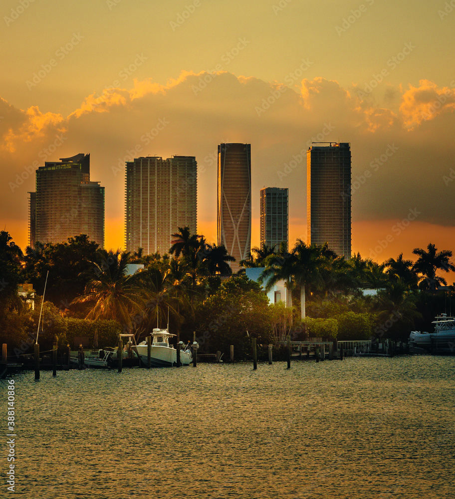 city skyline at sunset miami florida palms boat buildings downtown  - obrazy, fototapety, plakaty 