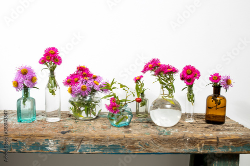 Autumn asters in small pharmacy bottles instead of vases on a long wooden bench against white wall.