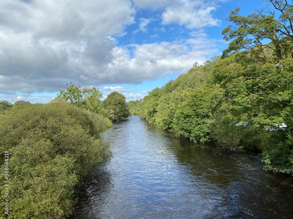 The river Wharfe, lined with old trees, makes its way past, Barden, Skipton, UK