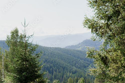 Green mountains landscape with spruce in Karpathians mountains. Beautiful nature of Ukraine. Tourism in our country. Unity with nature. photo