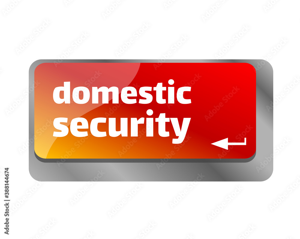 Domestic security . Close up of keyboard, enter computer key. Domestic security . Close up of keyboard, enter computer key.