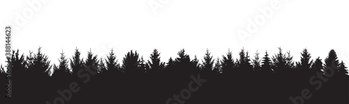 LISIÈRE DE FORÊT