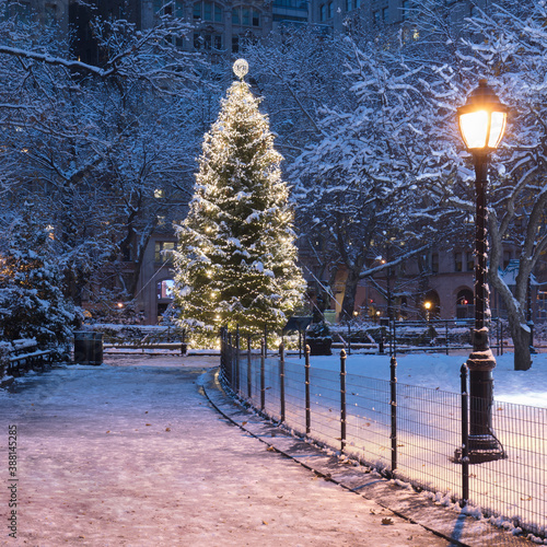 USA, New York, New York City, Illuminated Christmas tree in Madison Square Park at night