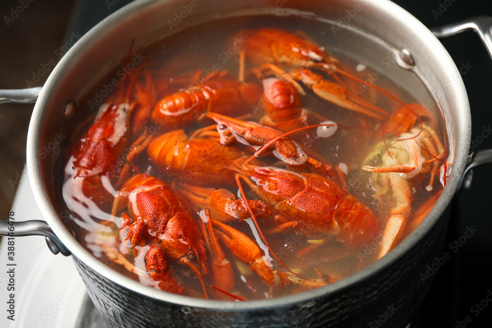 Fresh delicious crayfishes in pot, closeup view Fresh delicious crayfishes in pot, closeup view