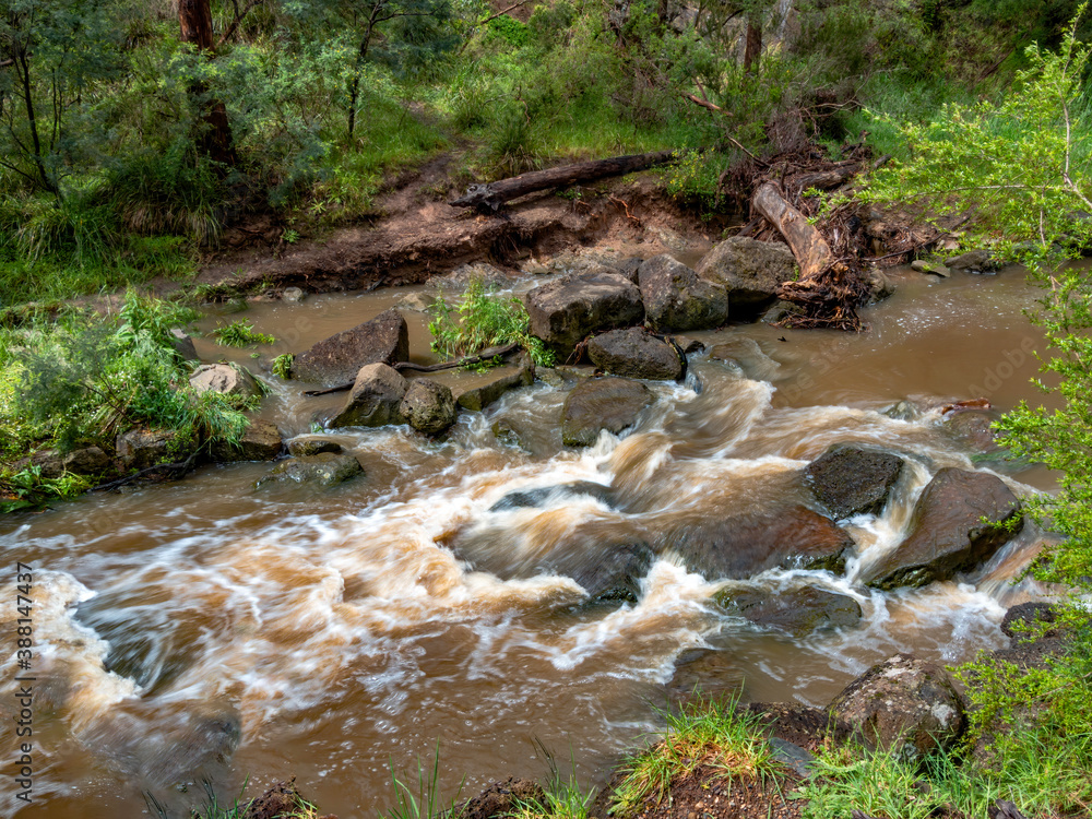  Mullum Creek Floodwater