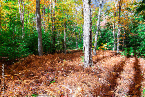 Fall Hike